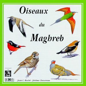 Oiseaux du Maghreb / Birds of North‐West Africa