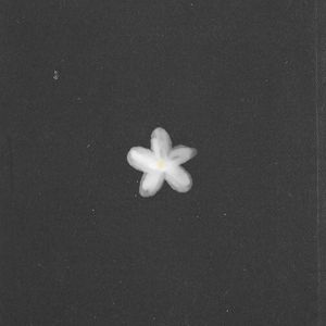 Sampaguita (Single)