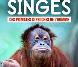 image-https://media.senscritique.com/media/000020031736/0/les_grands_singes_ces_primates_si_proches_de_l_homme.jpg