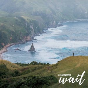 Wait (Single)