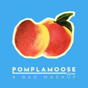 A Bad Mashup (Single)