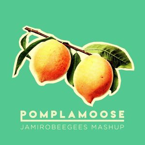 Jamirobeegees Mashup (Single)