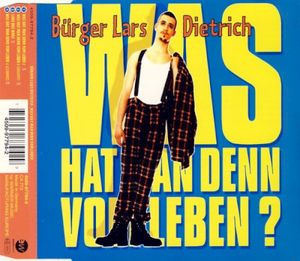 Was hat man denn vom Leben ? (Groovy)