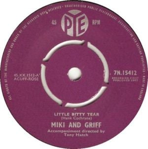 A Little Bitty Tear (Single)