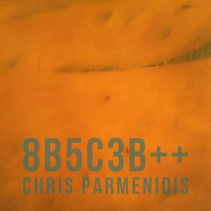 8B5C3B++
