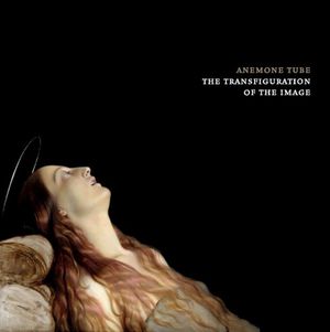 The Transfiguration of the Image (EP)