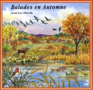 Balades en automne / Autumnal Walks