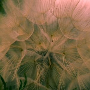 Fragments of Myself