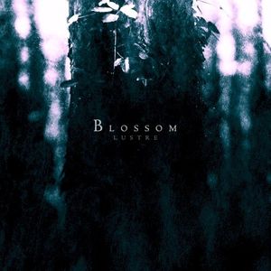 Blossom / Phantom