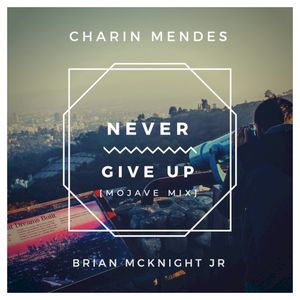 Never Give Up (Mojave Mix) (Single)