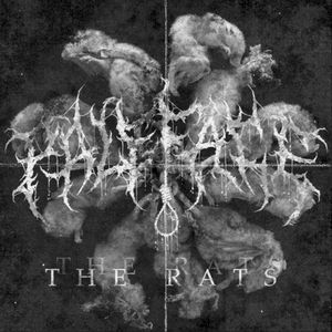 The Rats (Single)