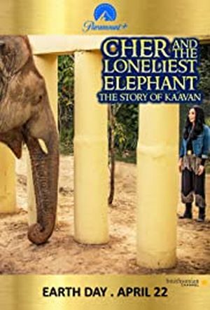 Cher et l'éléphant solitaire