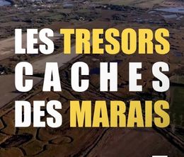 image-https://media.senscritique.com/media/000020050432/0/les_tresors_caches_des_marais.jpg