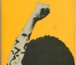 image-https://media.senscritique.com/media/000020052459/0/angela_davis_portrait_of_a_revolutionary.jpg