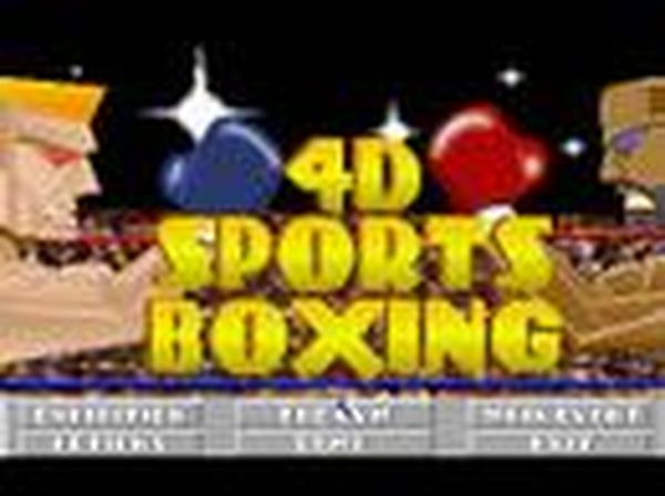 4D Sports Boxing