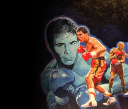 image-https://media.senscritique.com/media/000020053362/0/boxing_legends_of_the_ring.png
