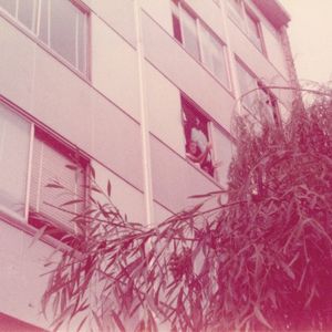 Fake Girlfriend (Single)