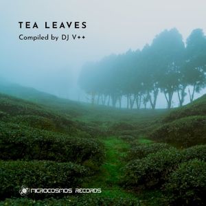 Tea Leaves