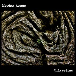 Silverling
