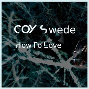 How To Love (Single)