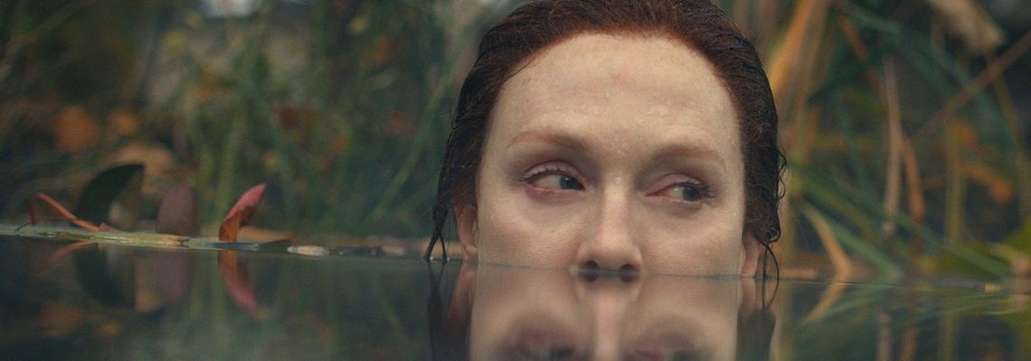 Cover Histoire de Lisey