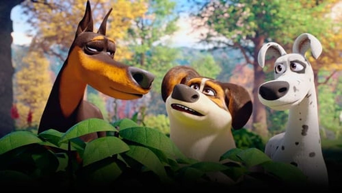 Bande Annonce Pauvre Toutou Pauvre toutou ! - Long-métrage d'animation (2019) - SensCritique