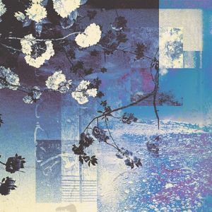 Blüm (Single)