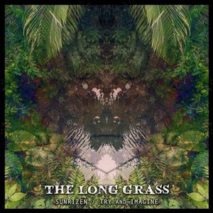 The Long Grass (Single)