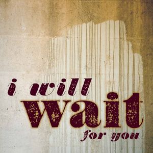 I Will Wait for You (Single)