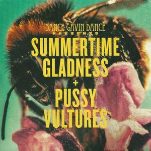 Summertime Gladness / Pussy Vultures (Single)