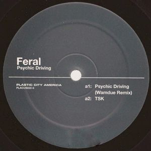 Psychic Driving (Wamdue remix)