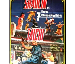 image-https://media.senscritique.com/media/000020072671/0/shaolin_et_les_7_disciples_de_tai_chi.png