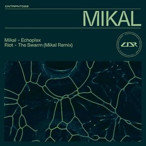 Echoplex / The Swarm (Mikal remix)