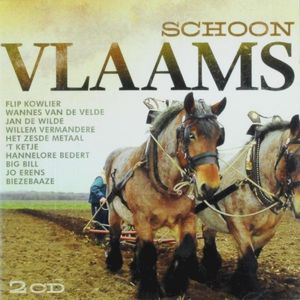 Schoon Vlaams
