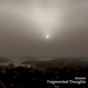 Fragmented Thoughts