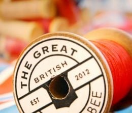 image-https://media.senscritique.com/media/000020079231/0/the_great_british_sewing_bee.jpg