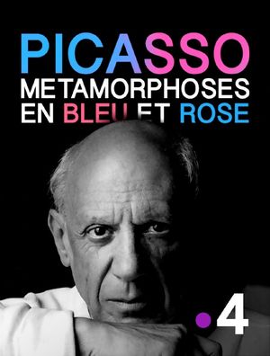 Picasso, métamorphoses en bleu et rose