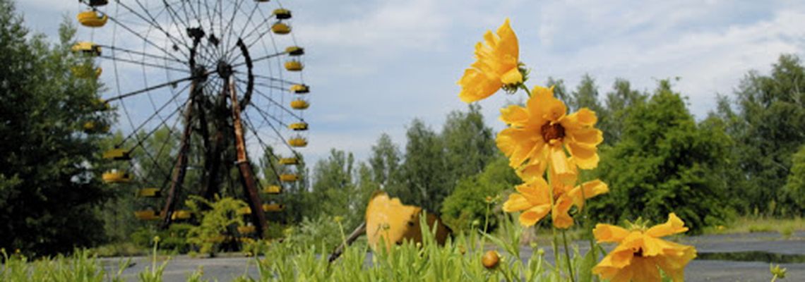 Cover Tchernobyl, une histoire naturelle