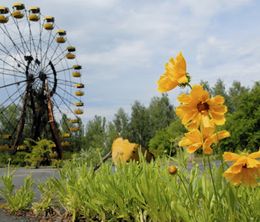 image-https://media.senscritique.com/media/000020080923/0/tchernobyl_une_histoire_naturelle.jpg