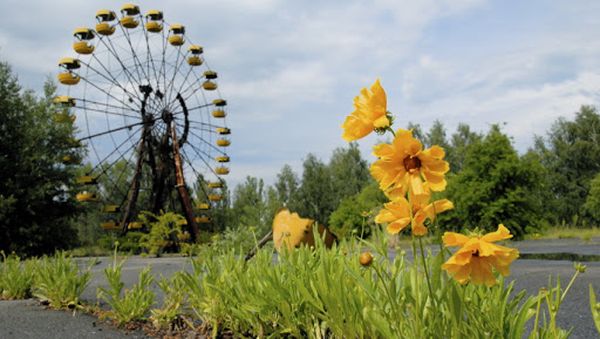 Tchernobyl, une histoire naturelle