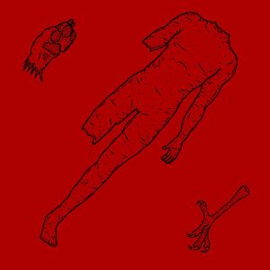 Foxmoulder / Eaglehaslanded