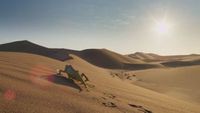 Planète Terre II (4) : Les déserts