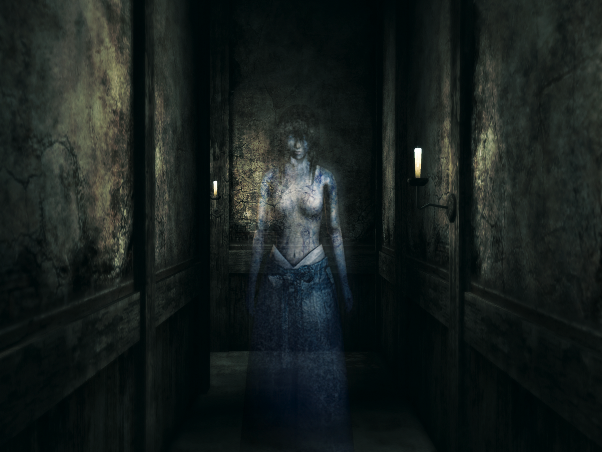 Trilogie Project Zéro Sur PS2 – 3 Jeux, Très Bon état