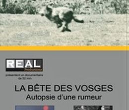 image-https://media.senscritique.com/media/000020087617/0/la_bete_des_vosges_autopsie_d_une_rumeur.jpg