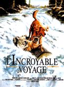 Affiche L'Incroyable Voyage