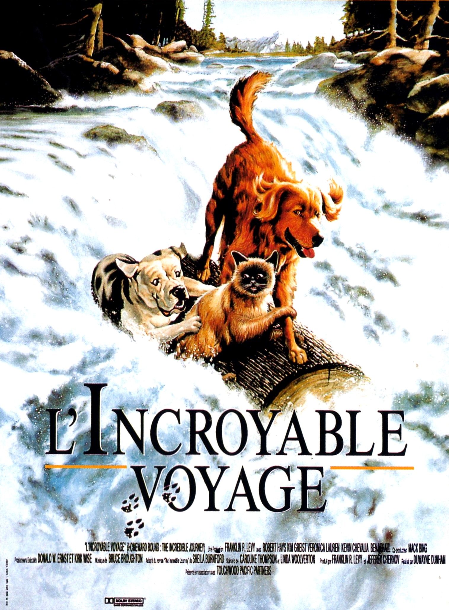l'incroyable voyage 1993 streaming vf