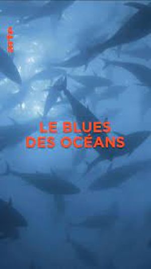 Le blues des océans