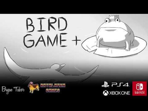 Bird Game +