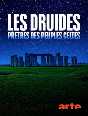 Les druides : Prêtres des peuples Celtes