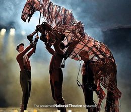 image-https://media.senscritique.com/media/000020098002/0/national_theatre_live_war_horse.jpg